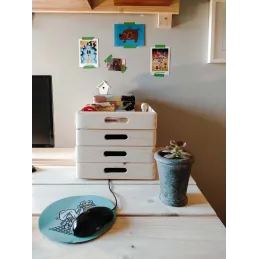 Caisse en bois de rangement