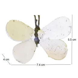 Papillon à fixer en métal recyclé