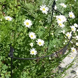 Tuteur à plantes demi-cercle en acier fleur de lys