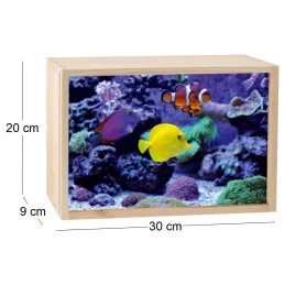 Boite lumineuse LED 30x20 cm