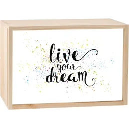 Boite lumineuse LED 30x20 cm