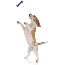 Stick chien en plastique coloré 15 cm