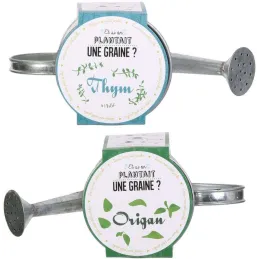 Graines à planter aromates avec arrosoirs (Lot de 2)