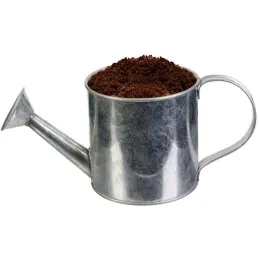 Graines à planter aromates avec arrosoirs (Lot de 2)