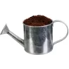 Graines à planter aromates avec arrosoirs (Lot de 2)