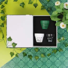 Coffret 3 bougies Nature candles