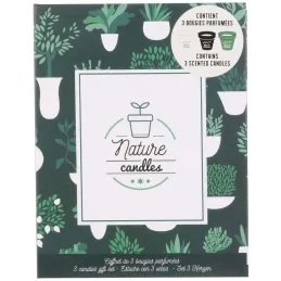 Coffret 3 bougies Nature candles