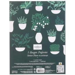 Coffret 3 bougies Nature candles