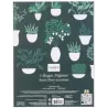 Coffret 3 bougies Nature candles