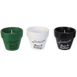 Coffret 3 bougies Nature candles