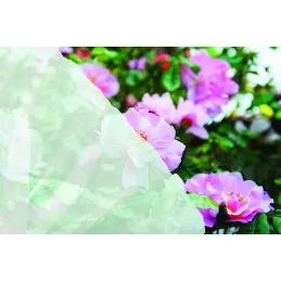 Bâche de protection respirante pour plantes