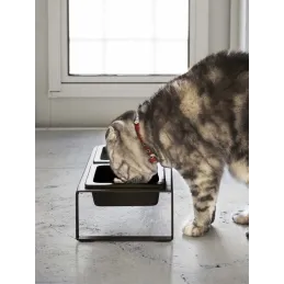 Double gamelle design surélevée pour chat Tower