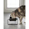 Double gamelle design surélevée pour chat Tower