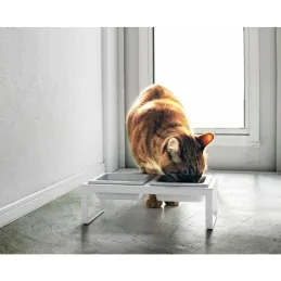 Double gamelle design surélevée pour chat Tower