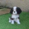 Chiot king charles assis en résine 15 cm