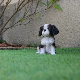 Chiot king charles assis en résine 15 cm