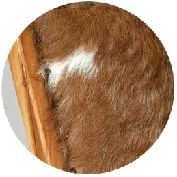 Fauteuil en teck et peau de chèvre Buru