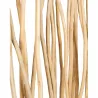 Paravent en branches de teck