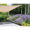 Voile d'ombrage rectangulaire 3 x 5 m Coolfit