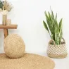 Cache-pots en jonc naturel et crochet (Lot de 2)