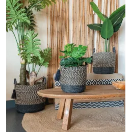 Cache-pots en raphia (Lot de 3)