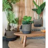 Cache-pots en raphia (Lot de 3)