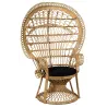 Fauteuil Emmanuelle en rotin Paon