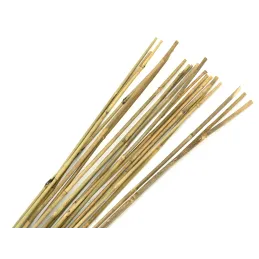 Tuteurs en bambou naturel (Lot de 20)