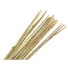 Tuteurs en bambou naturel (Lot de 20)