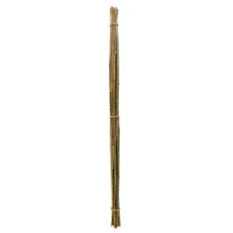 Tuteurs en bambou naturel (Lot de 20)