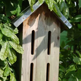 Abri pour papillons