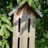 Abri pour papillons