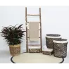 Échelle en bois rustique 