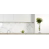Vase design Loop