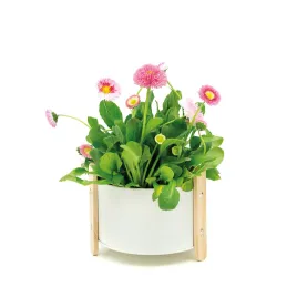 Cache-pot en métal laqué et bois