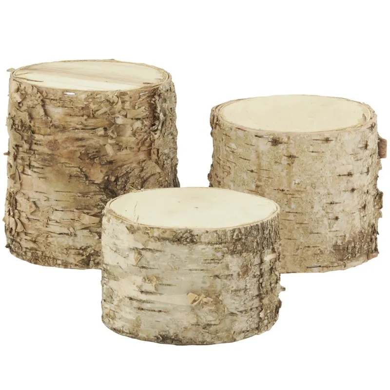 Supports tronc en bouleau (Lot de 3)