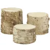 Supports tronc en bouleau (Lot de 3)