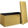 Banc coffre de rangement velours côtelé Giullia