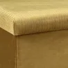 Banc coffre de rangement velours côtelé Giullia