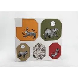Set de 5 toiles colorées Animaux de la forêt