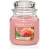 Bougie jarre en verre senteur rose et abricot