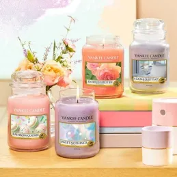 Bougie jarre en verre senteur rose et abricot