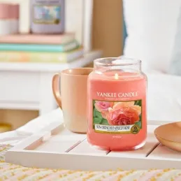 Bougie jarre en verre senteur rose et abricot