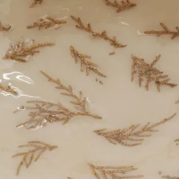 Corbeille en manguier déco fougères