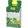 Traitement anti algues Tetra Medica Algostop