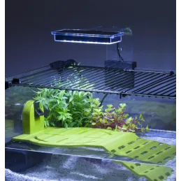 Terrarium pour tortues d'eau Karapas 60