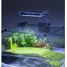 Terrarium pour tortues d'eau Karapas 60