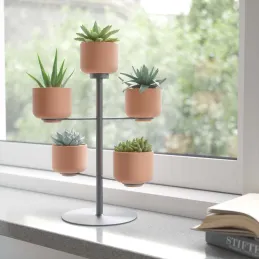 Support à plantes avec 5 pots Terrapotta