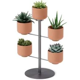 Support à plantes avec 5 pots Terrapotta