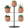 Support à plantes avec 5 pots Terrapotta